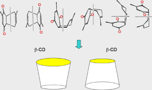 Multiple binding configurations of CD‧TS (TS=meta-TS and para-TS) at top and bottom rims are considered