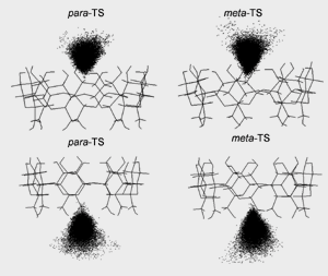 Dot plot diagrams showing the area sampled by the TS around the top and bottom rims of β-CD (each dot represents the center of mass of TS relative to β-CD)