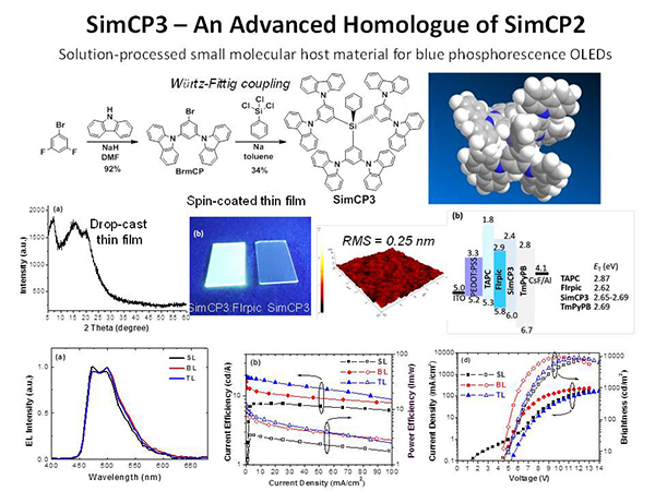 SimCP3 - An Advanced Homologue of SimCP2