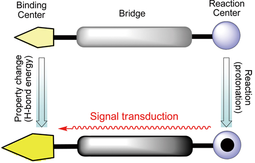 Remote control of hydrogen bonds