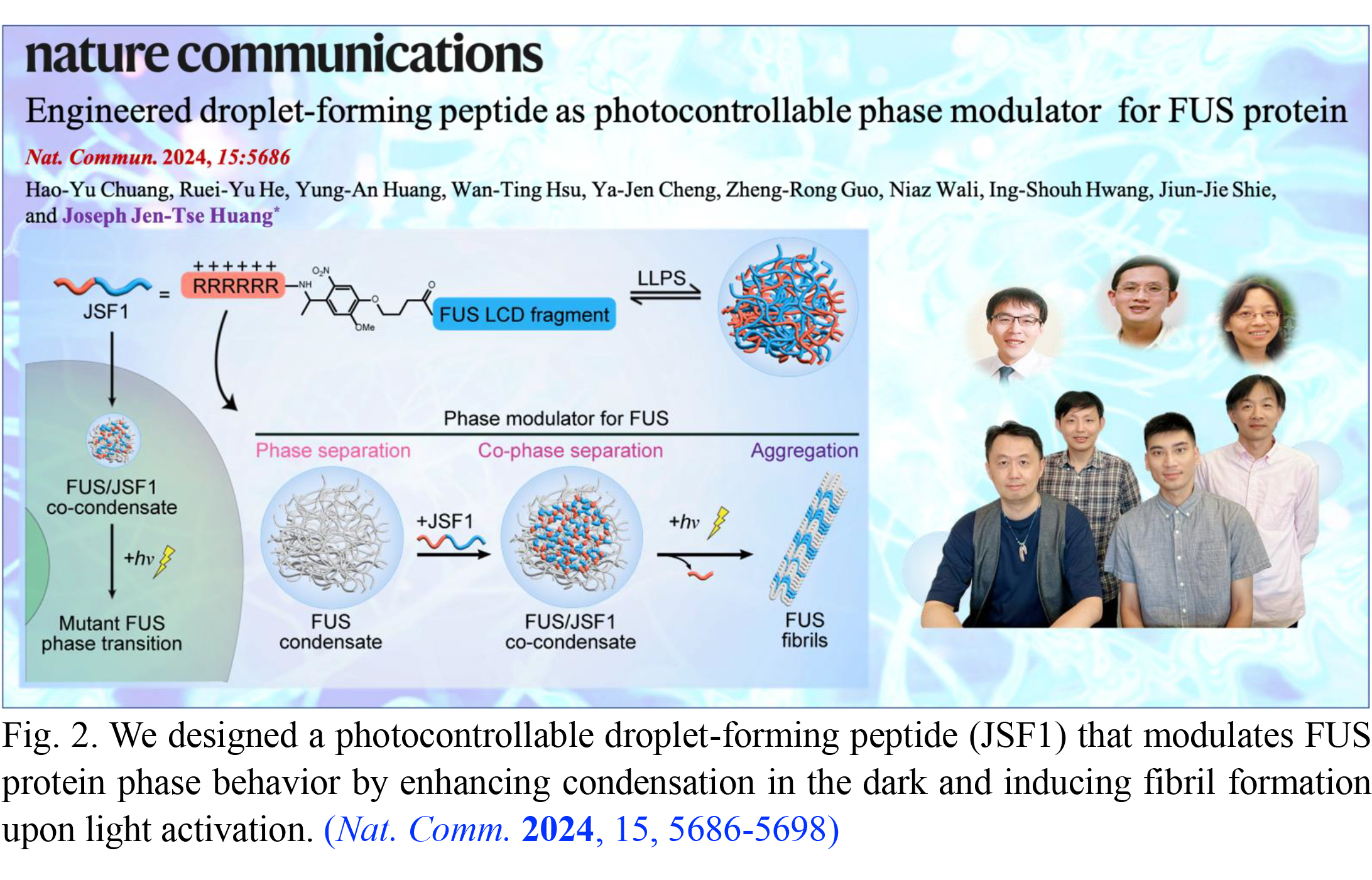 Nat. Comm. 2024, 15, 5686-5698