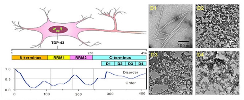 J. Am. Chem. Soc. 2010, 132, 1186-1187