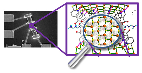 Metal‒Organic Framework