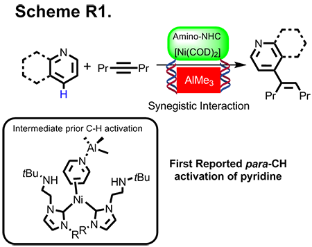Para-CH bond Activation of Pyridine with Isolation Ni-Al Intermediate