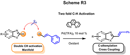 Double CH Activation