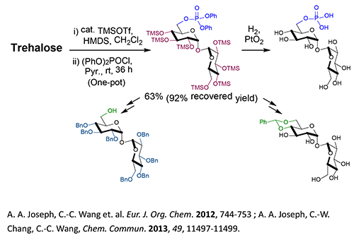 Synthesis of asymmetric trehalose derived glycolipids