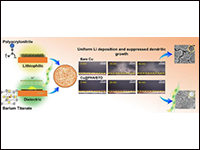 Dielectric-enhanced Lithiophilic Polyacrylonitrile...
