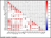 Identification and Chemometric Profiling of C10- a...