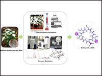 Encapsulation of Plant‐Derived Cycloheptapeptide...