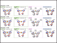 Use of a Coulombic Potential Framework for Interro...