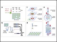 Recent advances in microfluidics for single-cell f...