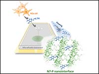 Microfluidic biosensor decorated with an indium ph...