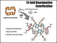 Twelvefold Dearomative Esterification of (6,6)Carb...