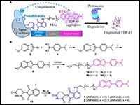 Degradation of neurodegenerative disease-associate...