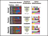 Single-cell and spatial multiomics identifies hete...