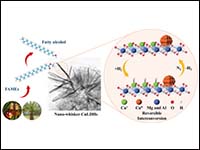 Reversibly interconverted Cu+/Cu+-H species as act...