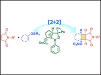 Oxathiaborolium-Catalyzed Enantioselective [2+2] C...
