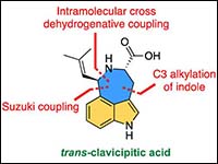 Biomimetic Total Synthesis of Clavicipitic Acid: A...