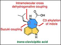 Biomimetic Total Synthesis of Clavicipitic Acid: A...