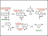 Asymmetric Total Synthesis and Structural Reassign...