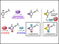Epoxide Stereochemistry Controls Regioselective Ke...