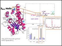 The importance of helical structures to the overal...