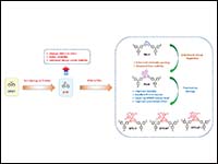 Judicious Molecular Design of 5H‑Dithieno[3,2‑...