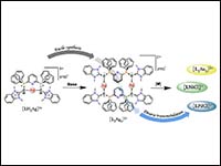 Binuclear Macrocyclic Silver(I) Complex of a Bis(c...