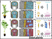 Single-cell and Spatial Omics Reveal Progressive l...
