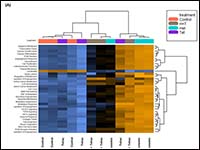 Heteronemin and Tetrac Induce Anti-Proliferation b...