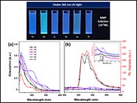 Synthesis and Optical Properties of Ion-selective ...