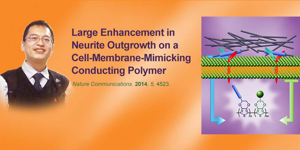 Large Enhancement in Neurite Outgrowth on a Cell-Membrane-Mimicking Conducting Polymer