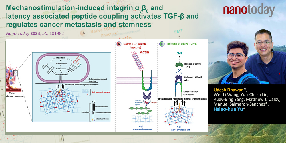 Mechanostimulation-induced integrin αvβ6 and latency associated peptide coupling activates TGF-β and regulates cancer metastasis and stemness