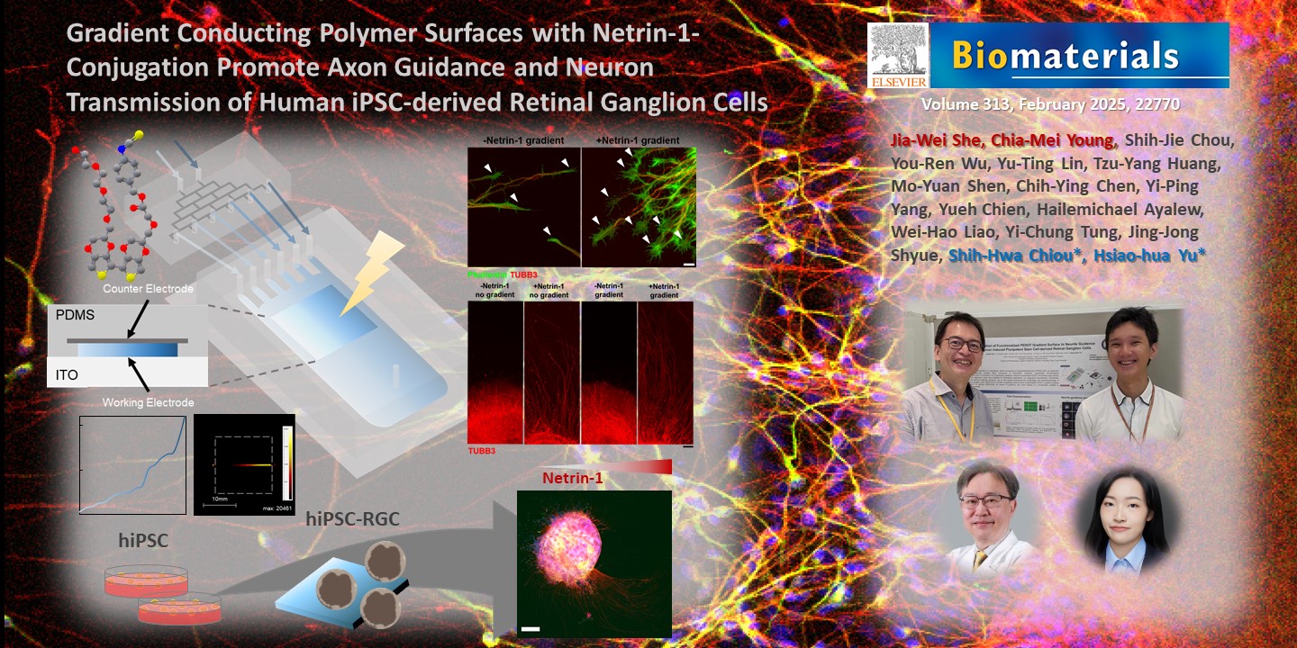 Gradient conducting polymer surfaces with netrin-1-conjugation promote axon guidance and neuron transmission of human iPSC-derived retinal ganglion cells