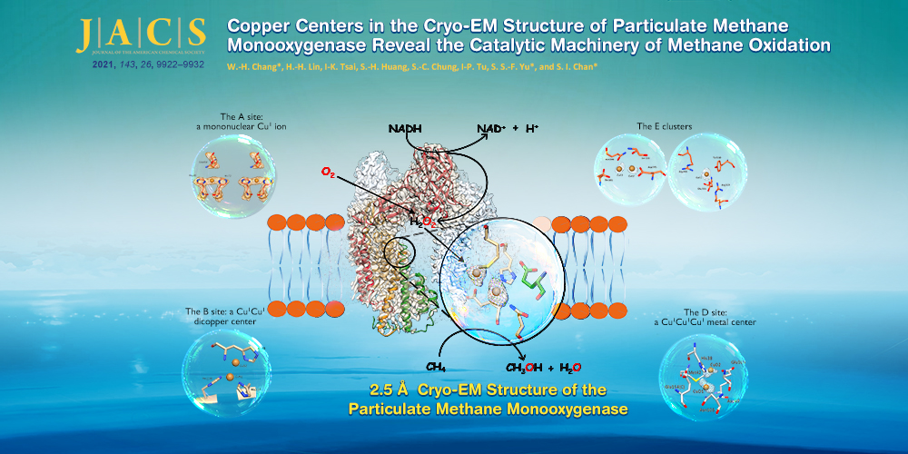 微粒體甲烷單加氧酶冷凍電顯結構中的銅簇中心揭示了將甲烷氧化的分子機器運轉的機制