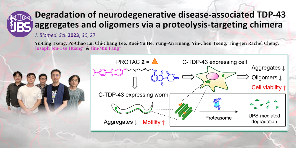 Degradation of neurodegenerative disease-associated TDP-43 aggregates and oligomers via a proteolysis-targeting chimera
