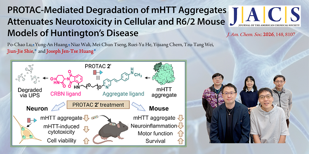 以PROTAC分子清除腦內亨丁頓蛋白聚集物：治療神經退化疾病新策略