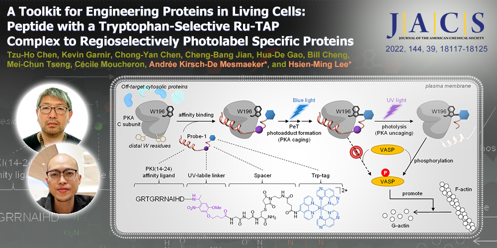 在活體細胞內修飾蛋白的工具：具蛋白選擇性，位置選擇性，及色胺酸專一性的釕錯合物多肽光親合反應