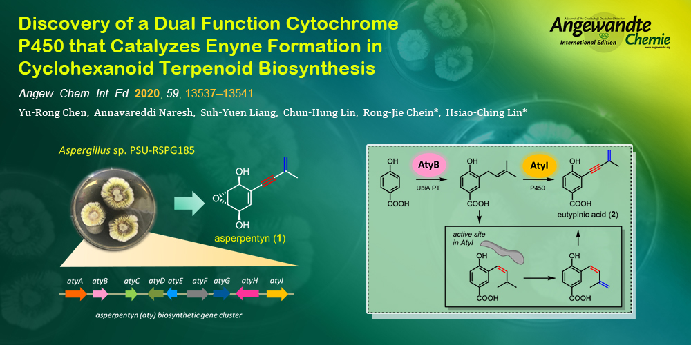 Discovery of a Dual Function Cytochrome P450 that Catalyzes Enyne Formation in Cyclohexanoid Terpenoid Biosynthesis