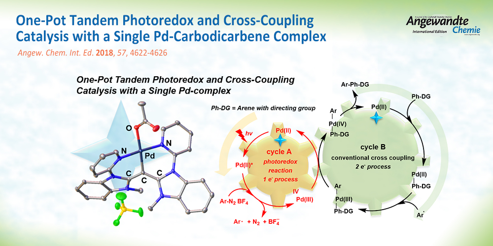 One-Pot Tandem Photoredox and Cross-Coupling Catalysis with a Single Palladium Carbodicarbene Complex