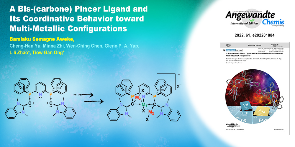 A Bis-(carbone) Pincer Ligand and Its Coordinative Behavior toward Multi-Metallic Configurations