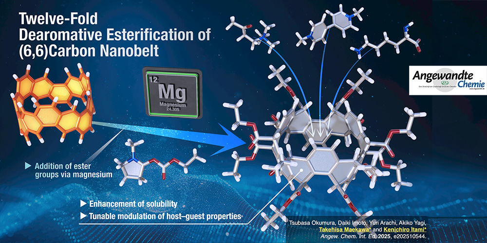 Twelvefold Dearomative Esterification of (6,6)Carbon Nanobelt
