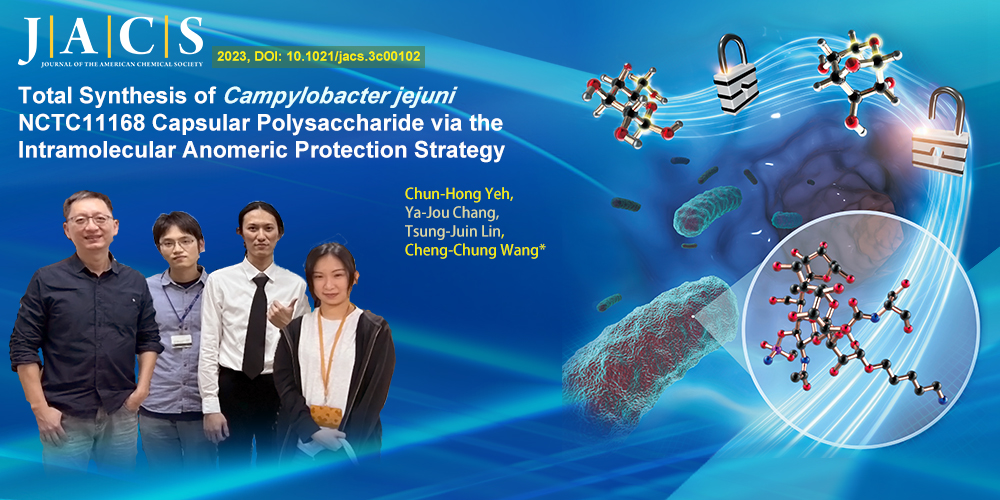 Total Synthesis of <em>Campylobacter jejuni</em> NCTC11168 Capsular Polysaccharide via the Intramolecular Anomeric Protection Strategy