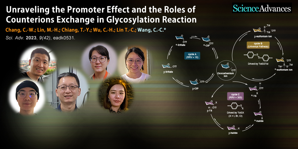 Unraveling the promoter effect and the roles of counterion exchange in glycosylation reactiony