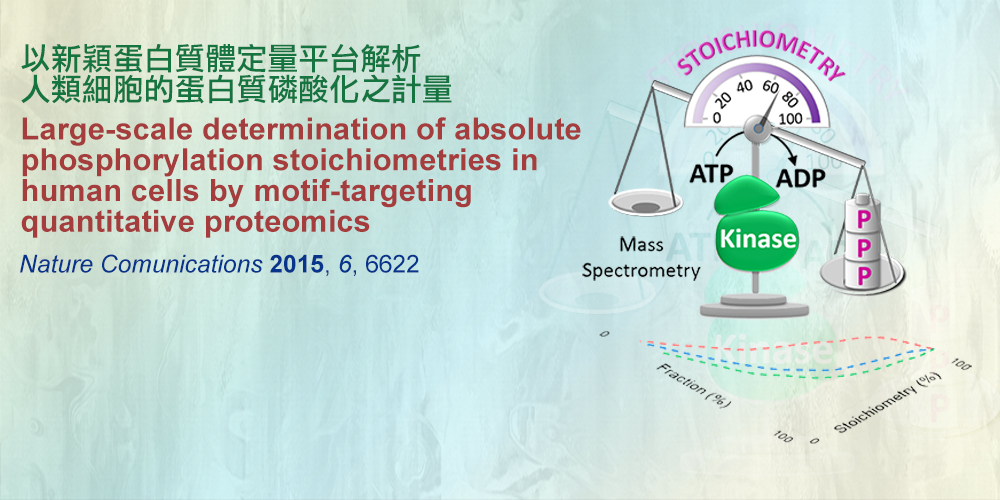 Large-scale determination of absolute phosphorylation stoichiometries in human cells by motif-targeting quantitative proteomics