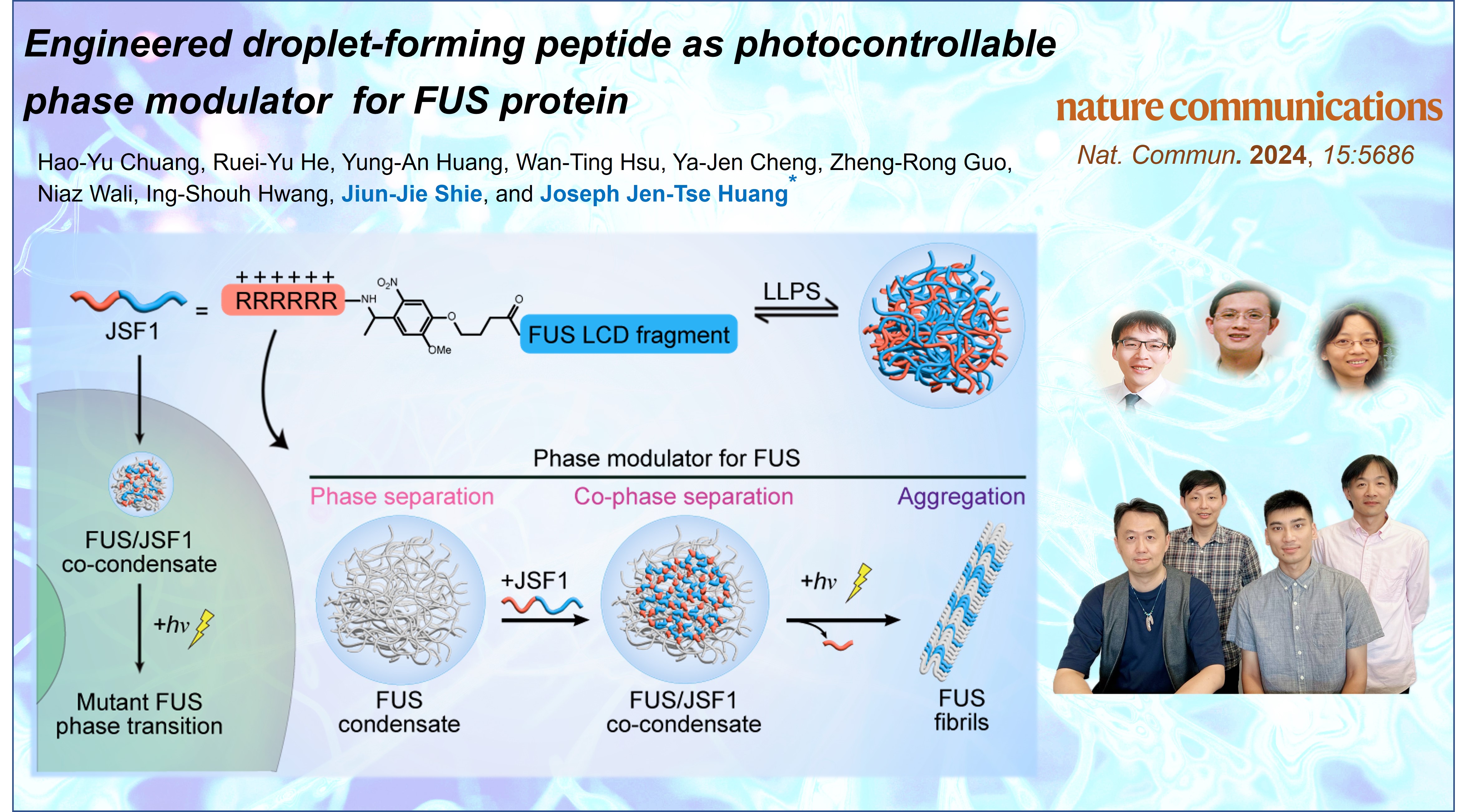 Breakthrough in ALS Research: Light-Activated Molecular Tool Controls Protein Behavior in Cells