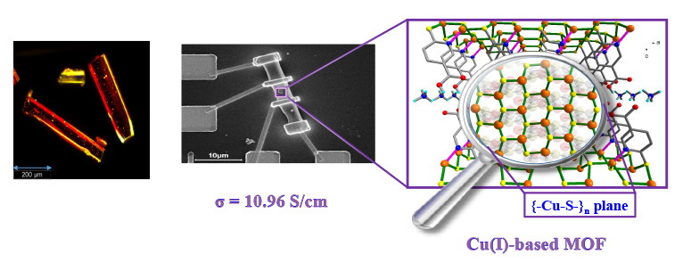 Figure 1. Bright field image and SEM image of fabricated single crystal of copper based metal–organic framework consist of (–Cu–S–)n plane