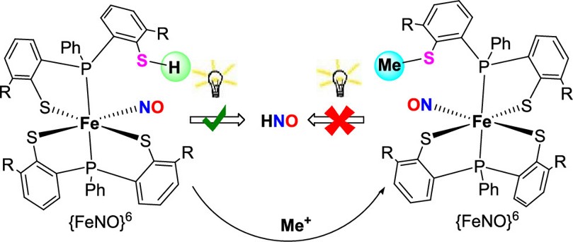 Photoinduced NO and HNO Production from Mononuclear {FeNO}6 Complex Bearing a Pendant Thiol