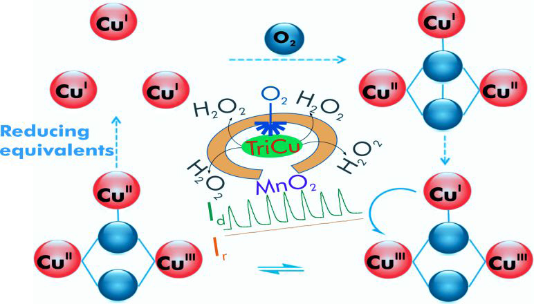 Tricopper Cluster Complex Functionalized Carbon Electrode: A Strategy to Overcome the Overpotential and Production of Hydrogen Peroxide in the Oxygen Reduction Reaction