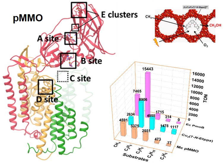 Catalytic oxidation of methane, other light alkanes. and propene is mediated by electrodes modified by the particulate methane monooxygenase (pMMO) and its recombinant protein and bioinspired catalysts.